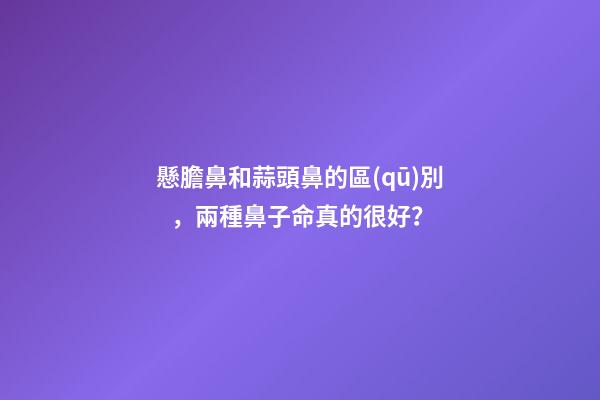 懸膽鼻和蒜頭鼻的區(qū)別，兩種鼻子命真的很好？